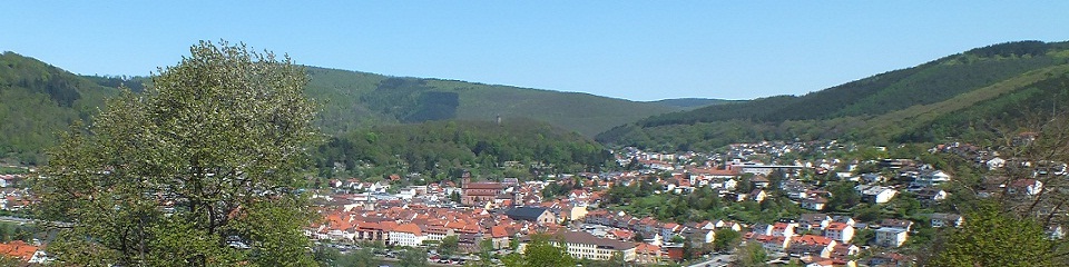 Panoramablick auf Eberbach